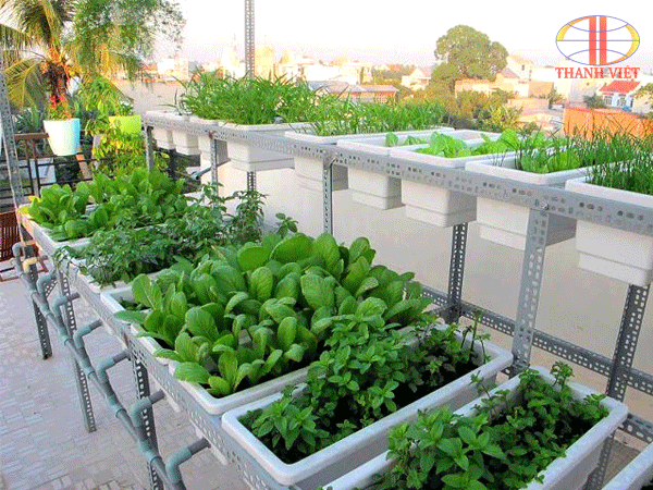 Những ý tưởng thiết kế vườn  trên sân thượng “tuyệt nhất” bạn không nên bỏ qua